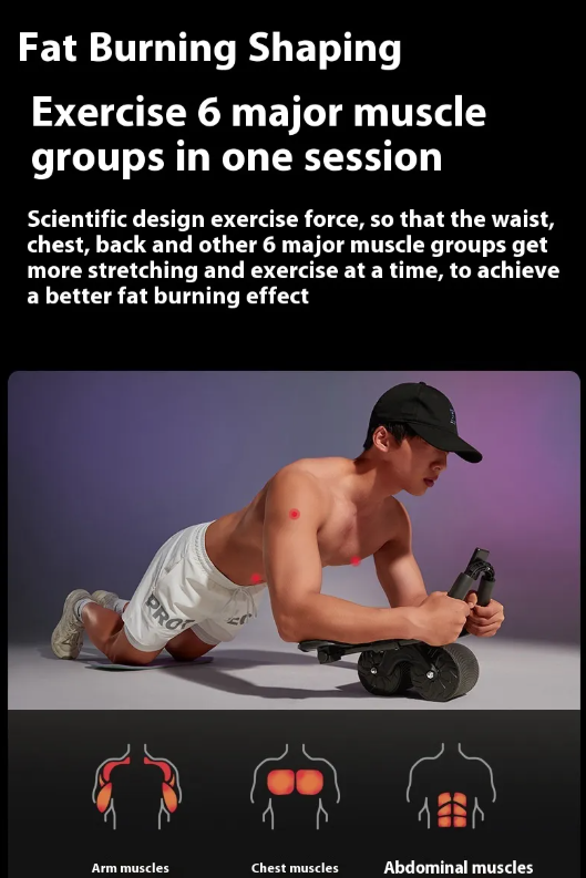 Fitness Abdominal Roller