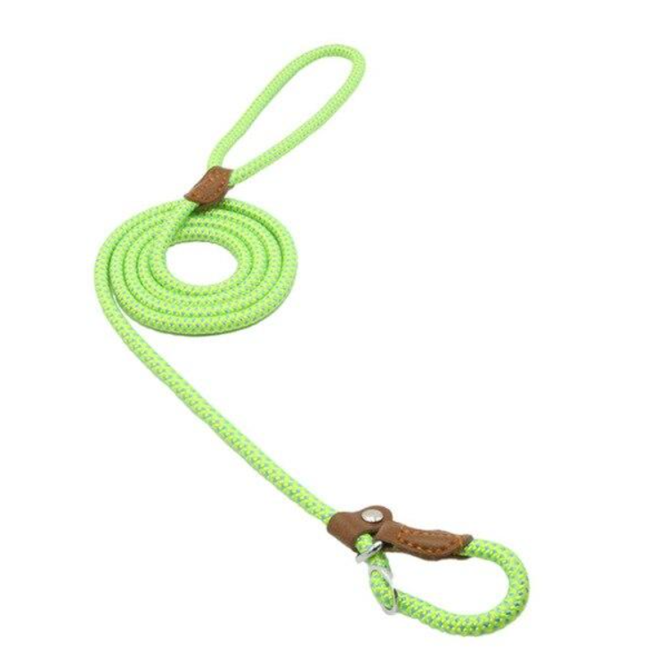 Nylon Pet Leash