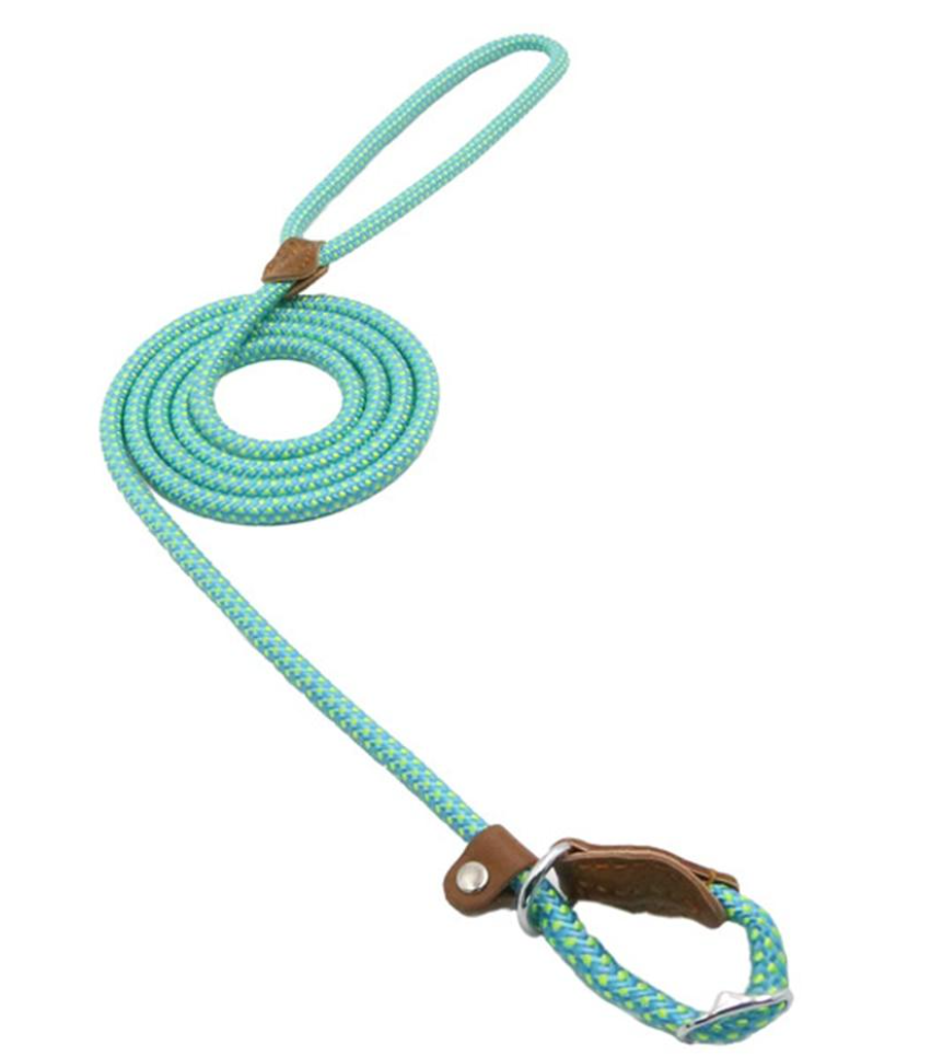 Nylon Pet Leash