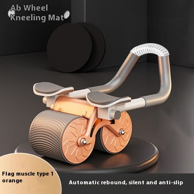 Fitness Abdominal Roller