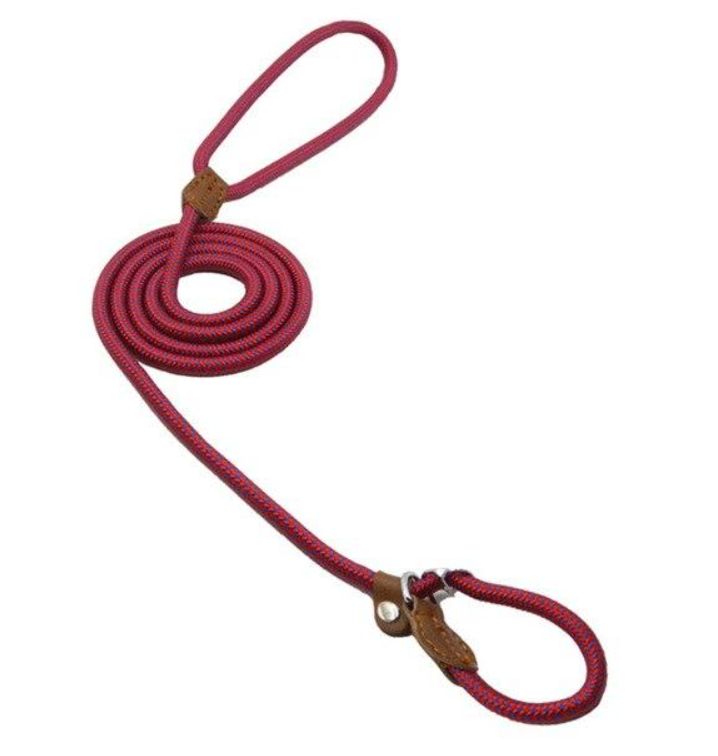Nylon Pet Leash
