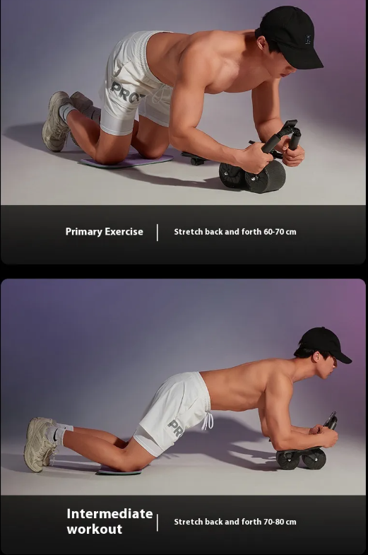 Fitness Abdominal Roller