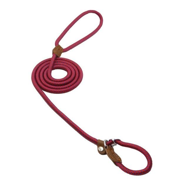 Nylon Pet Leash