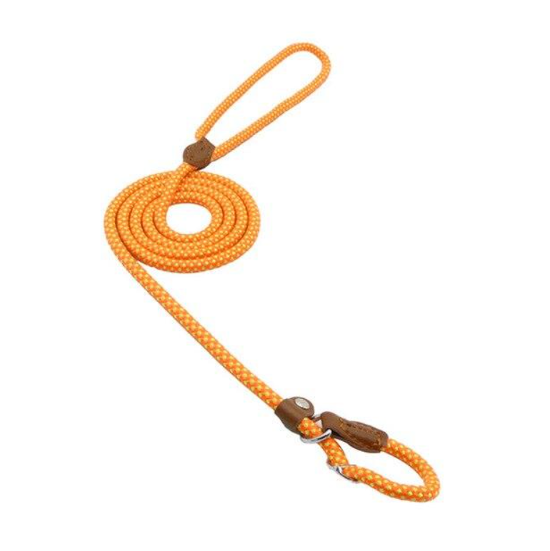 Nylon Pet Leash