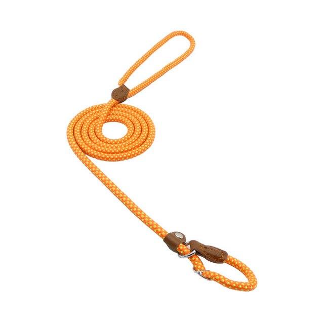 Nylon Pet Leash