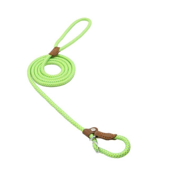 Nylon Pet Leash