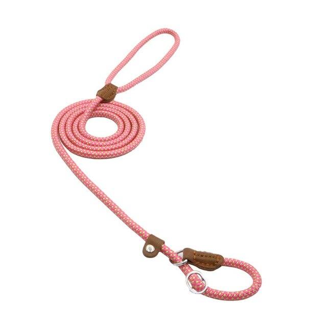 Nylon Pet Leash