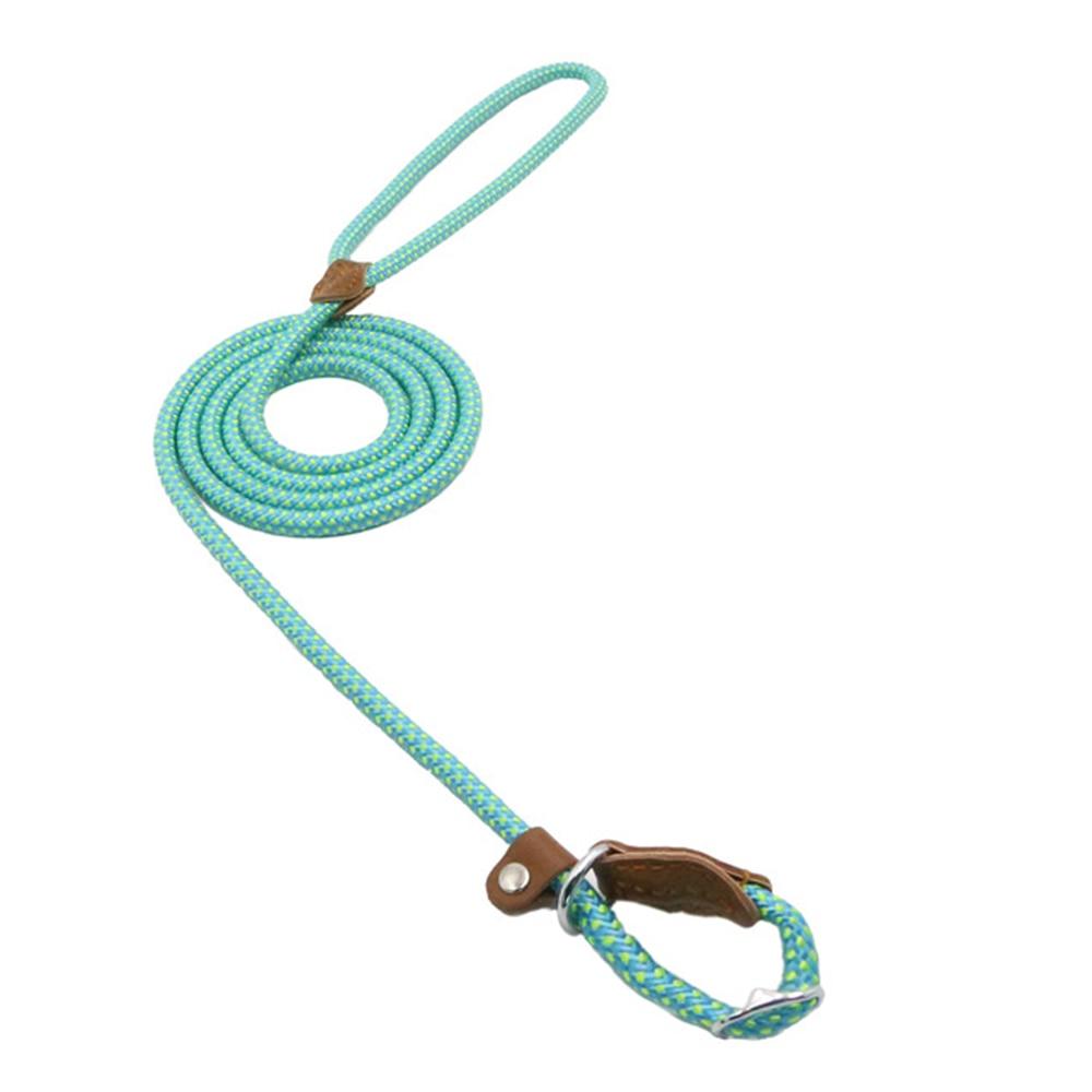 Nylon Pet Leash
